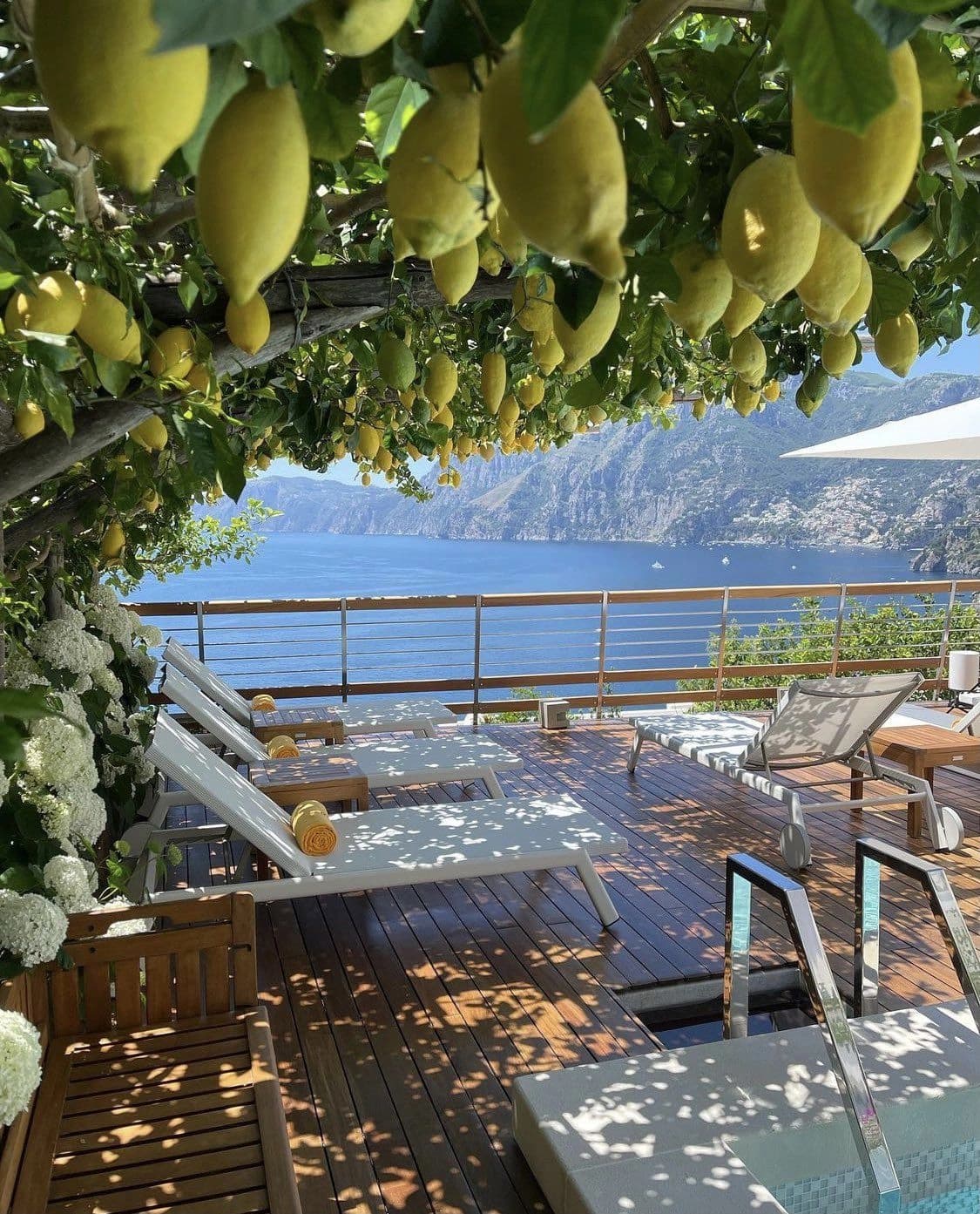 Lemons overlooking the Amalfi Coast from a shaded terrace